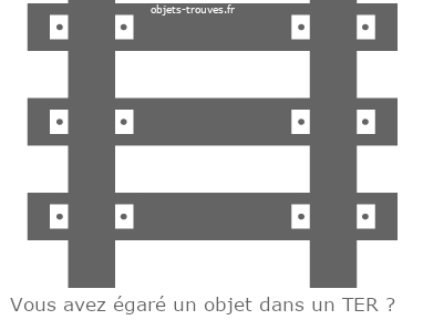 Objet perdu dans un TER 1 J'ai égaré un objet en TER : que dois-je faire ?