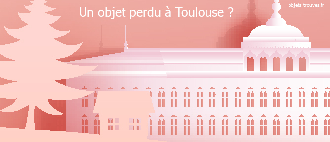Objet trouvé Toulouse 3 Que puis-je faire si j'ai égaré un objet à Toulouse?